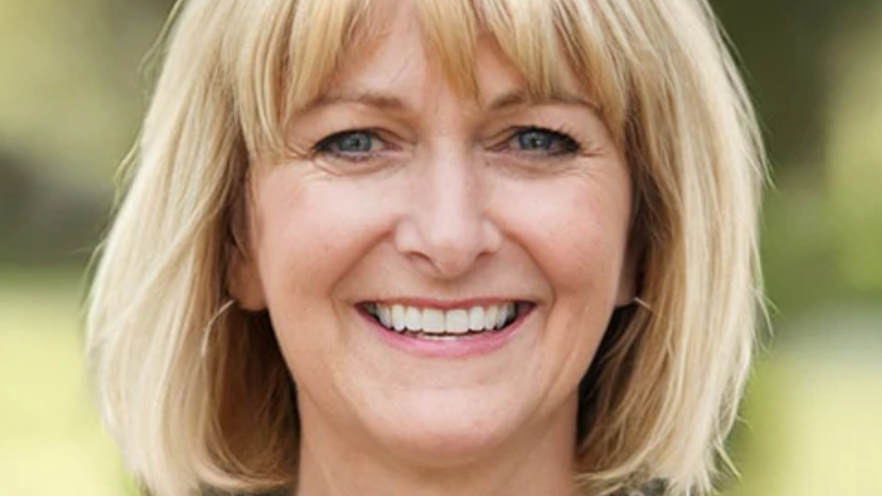 What Are The Common Reasons Behind The Increasing Demand For Blonde Wigs?